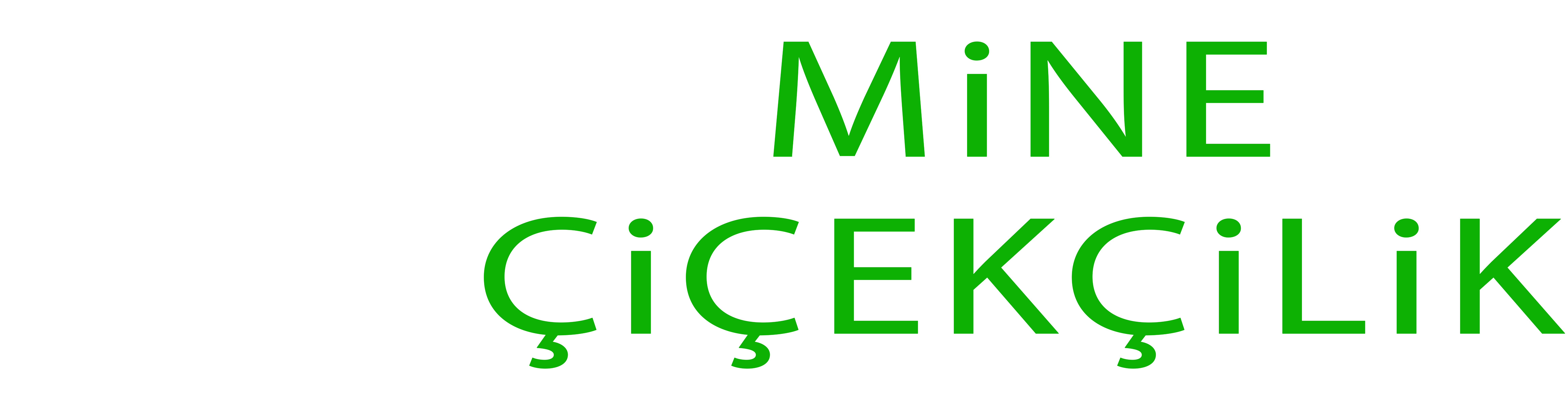 Mine Çiçekçilik - Samsun Peyzaj işleri